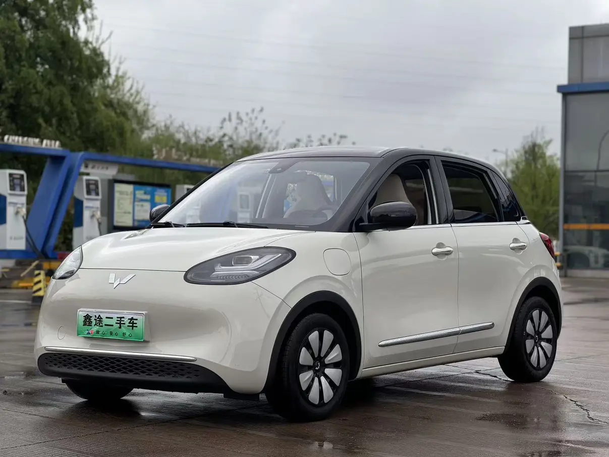 Wuling Bingo