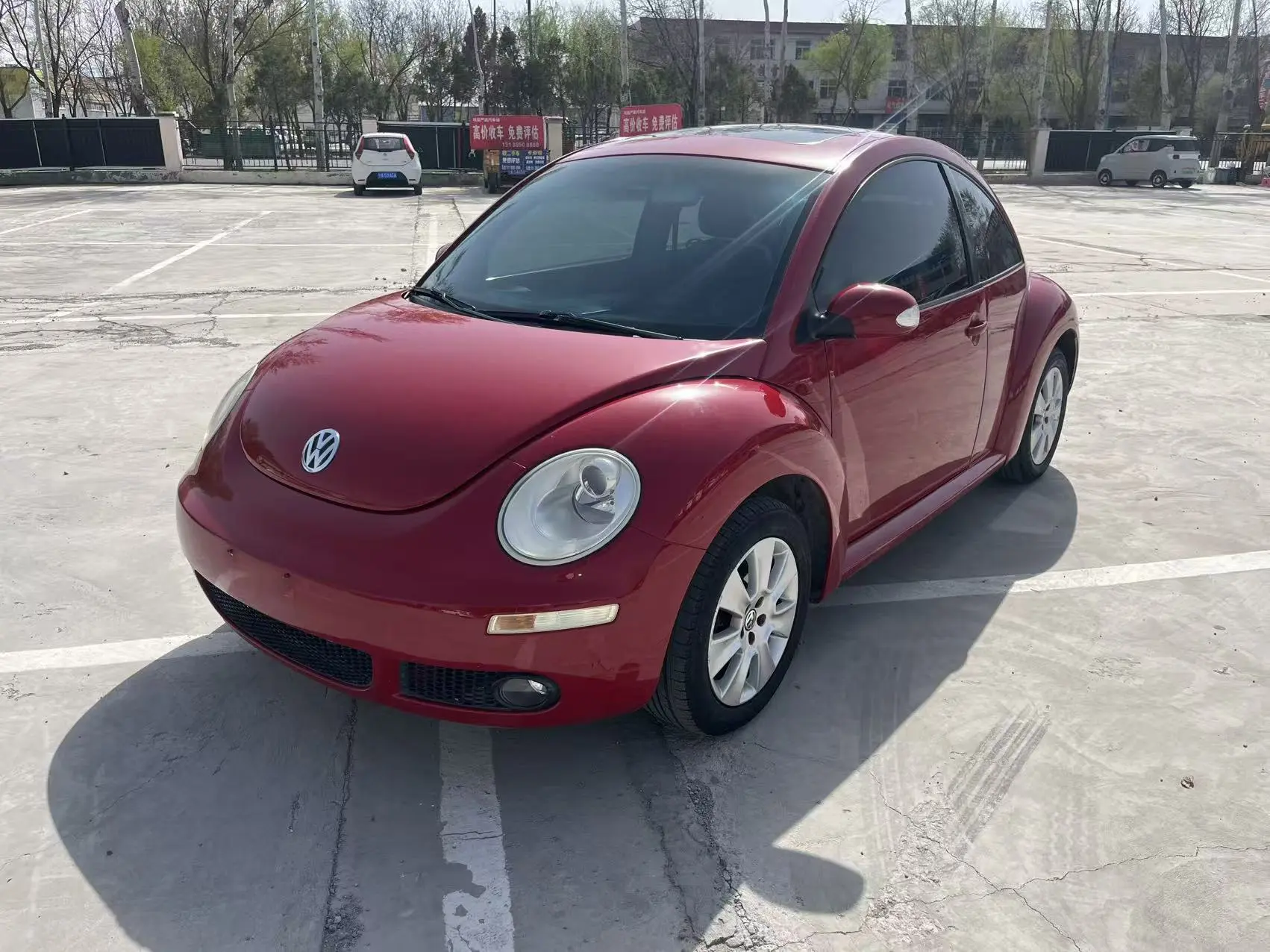 Volkswagen Beetle
