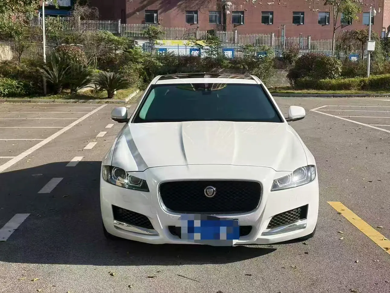 Jaguar XFL