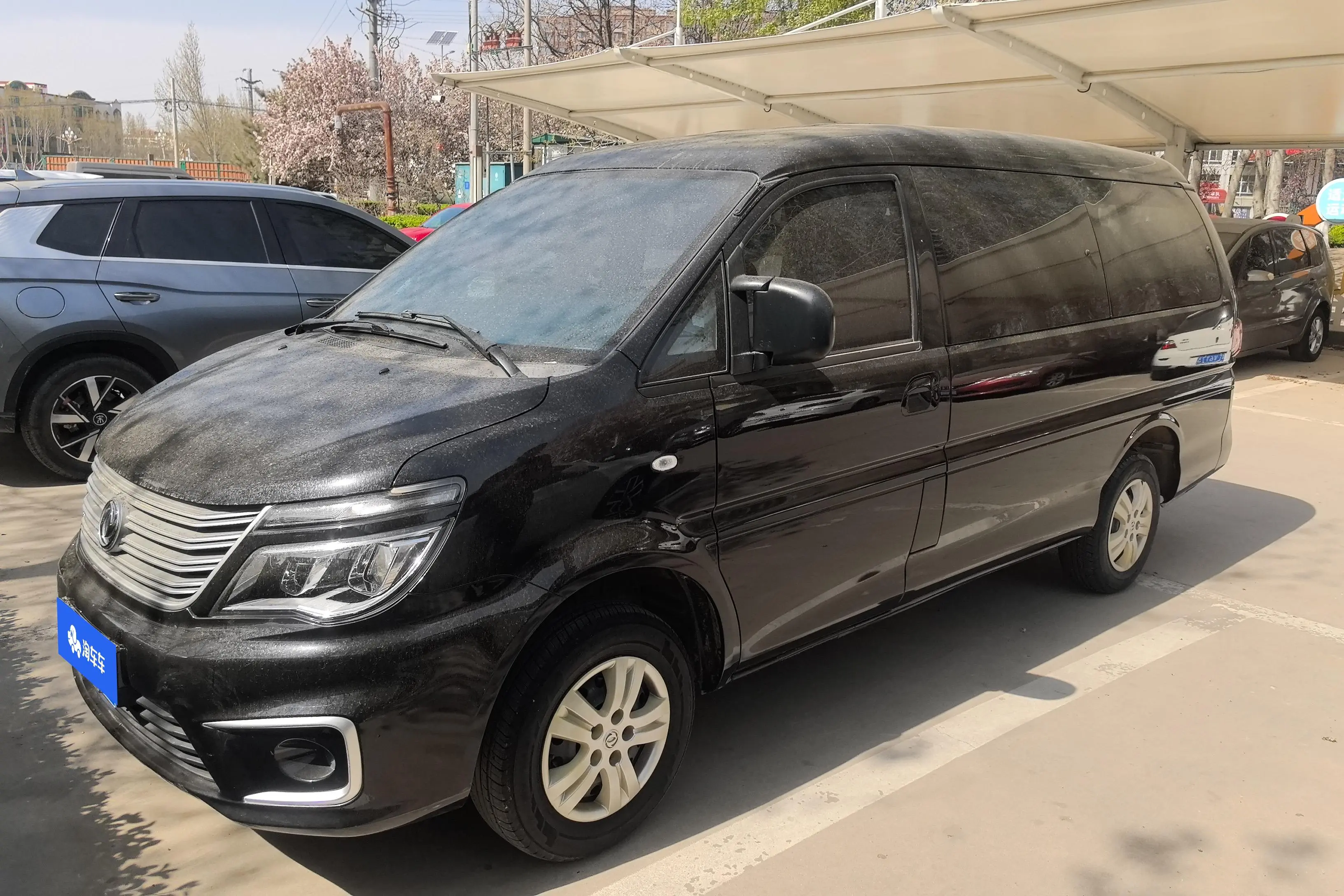 Forthing Lingzhi