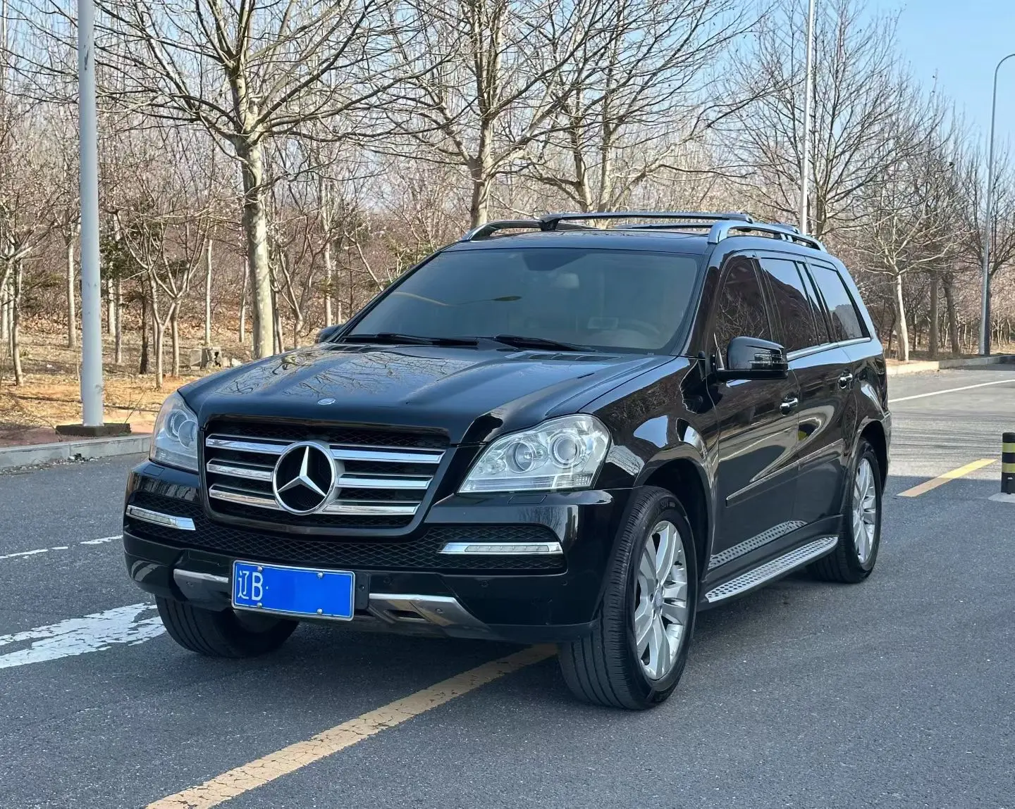 Mercedes-Benz Mercedes Benz GL Class