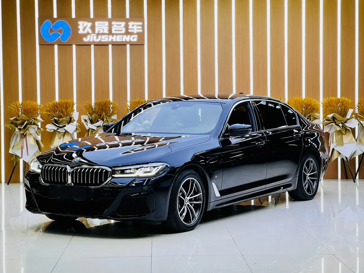 BMW 5 Series PHEV
