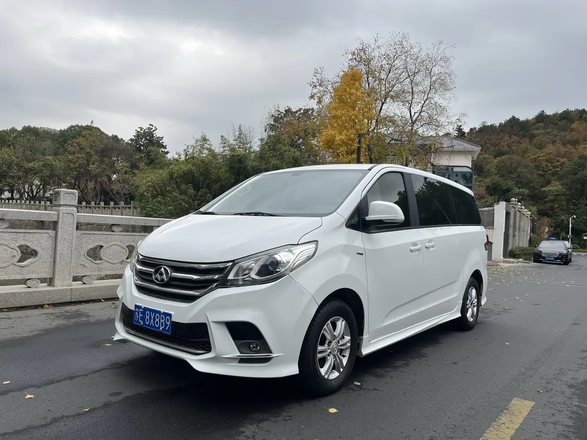 Datong Maxus G10