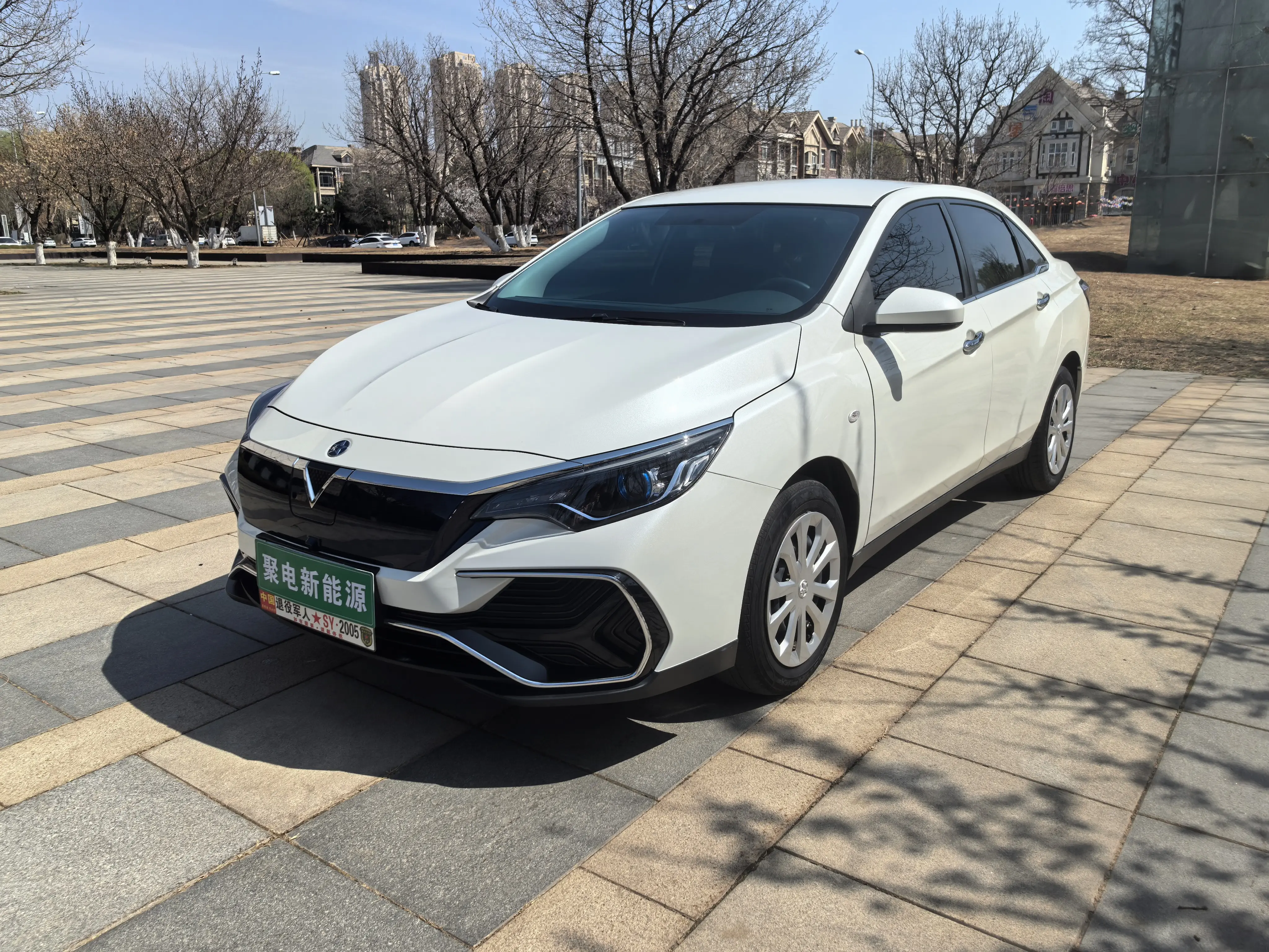 Kai Chen Venucia D60 EV