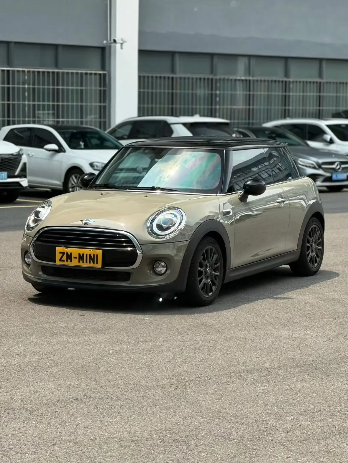 MINI MINI
