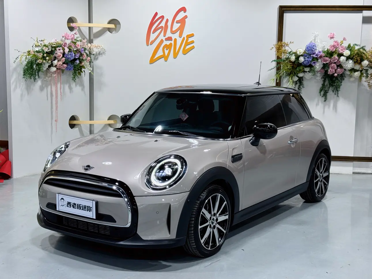 MINI MINI