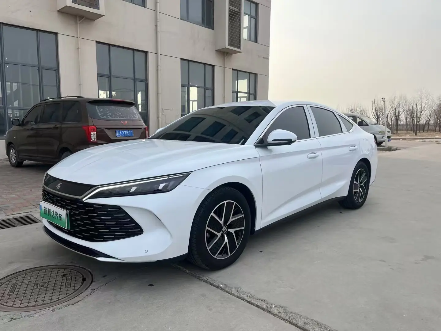 BYD Qin L DM