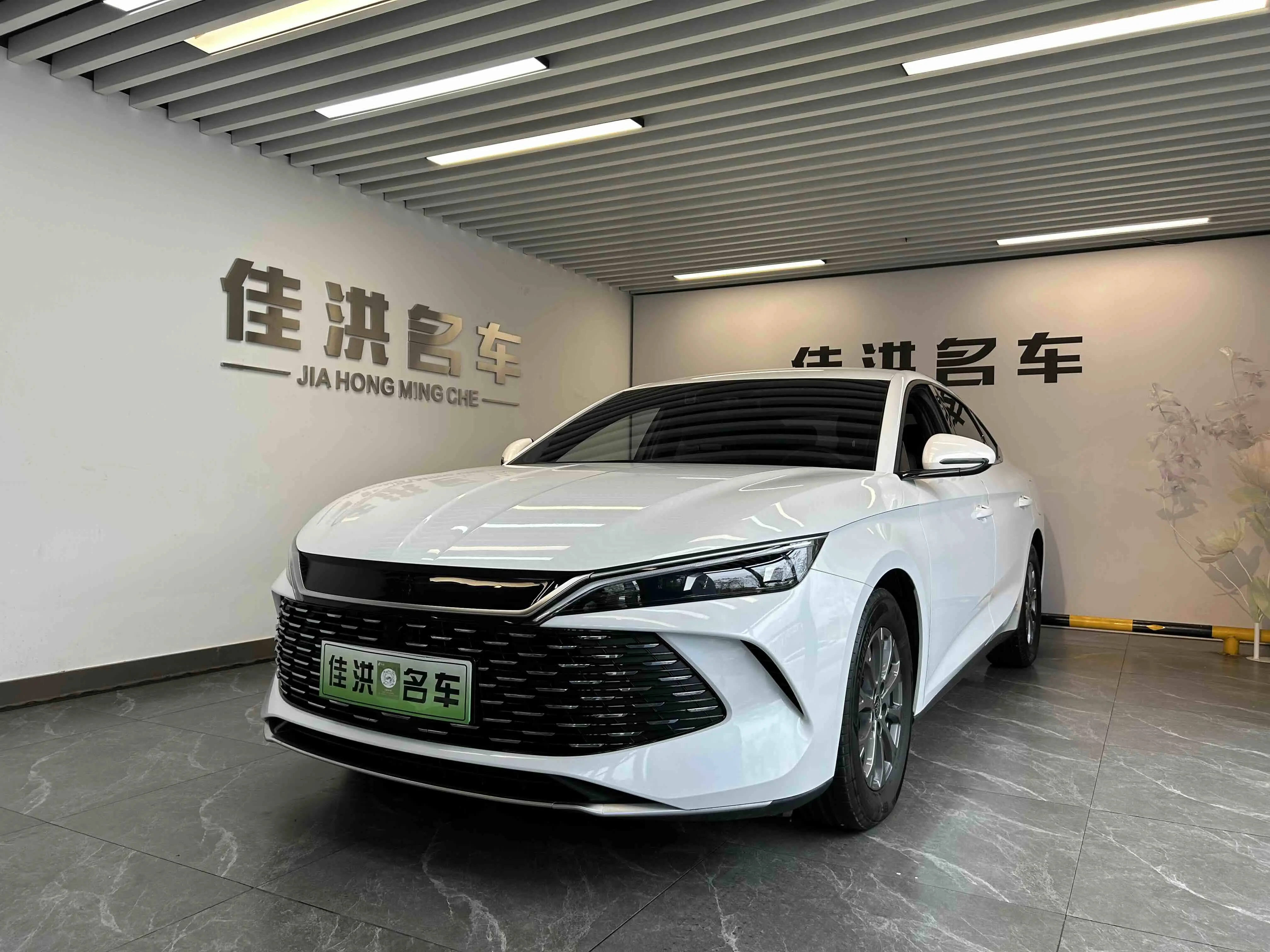 BYD Qin L DM