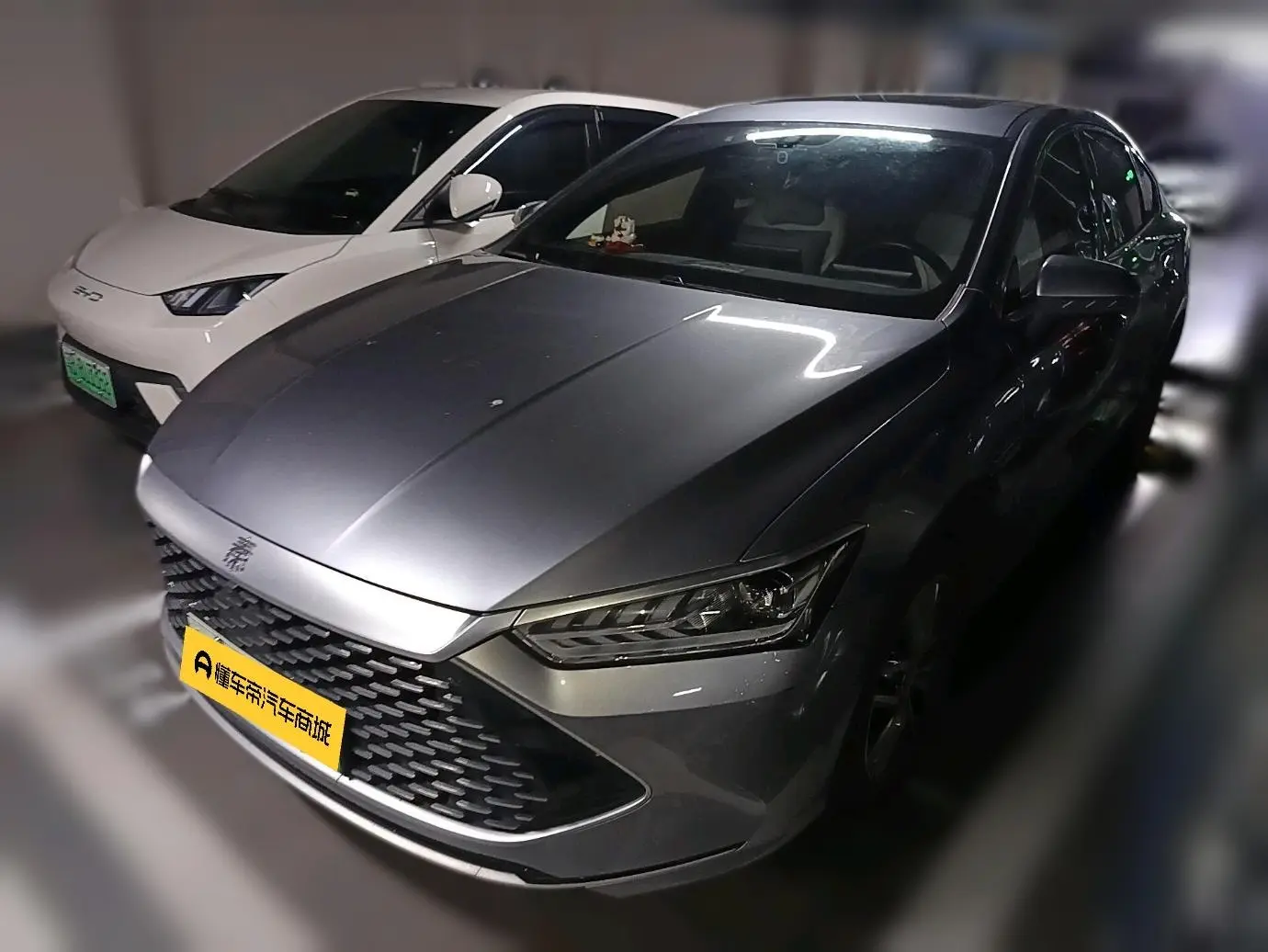 BYD Qin PLUS DM