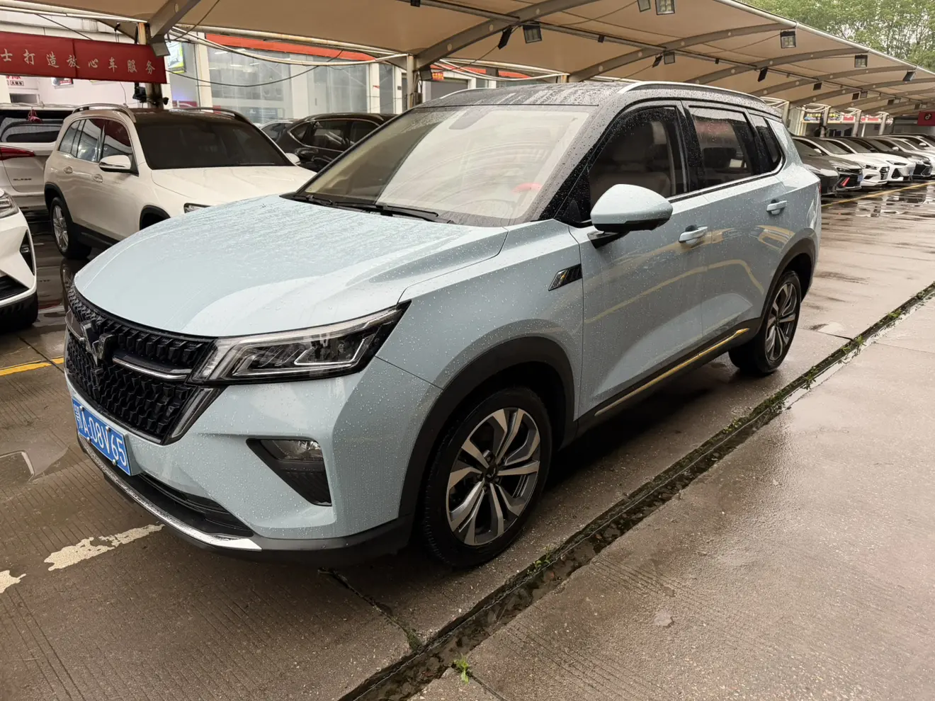 Wuling Star