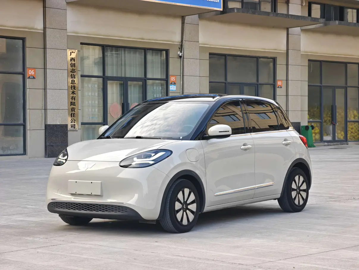 Wuling Bingo