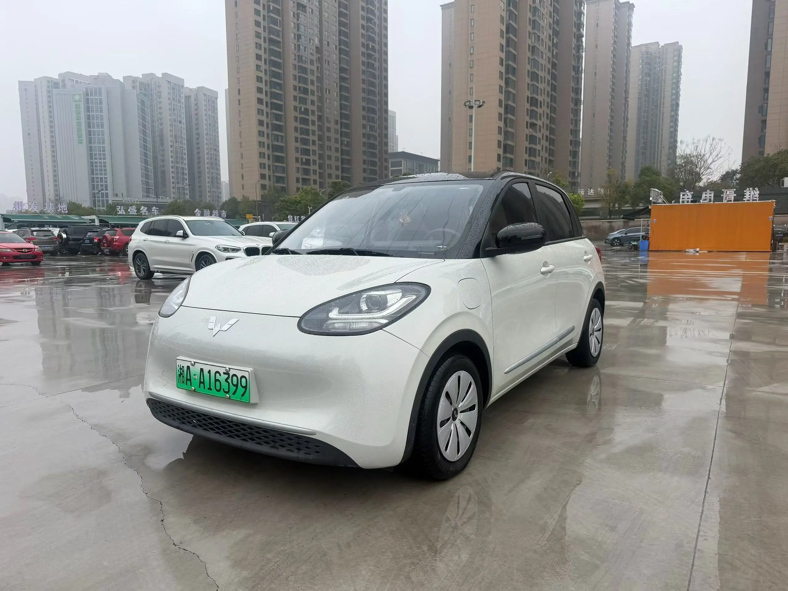 Wuling Bingo