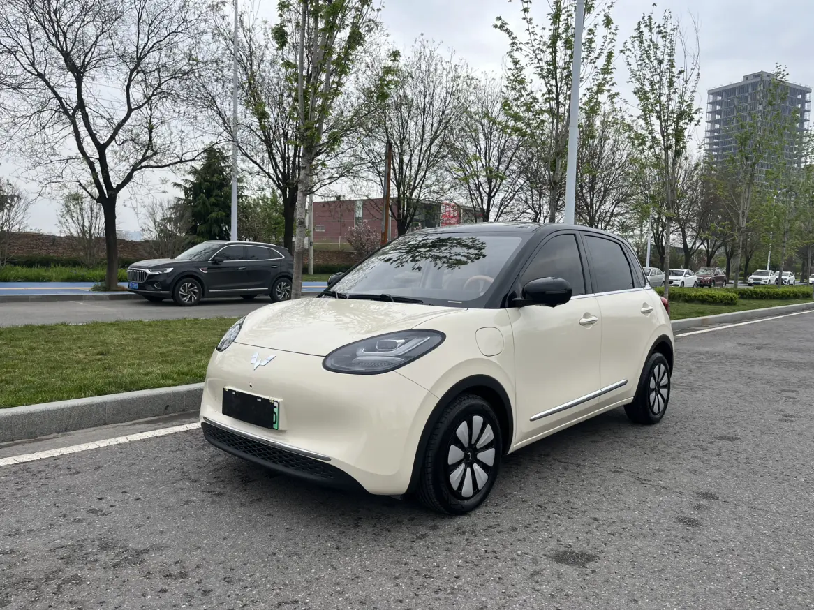 Wuling Bingo