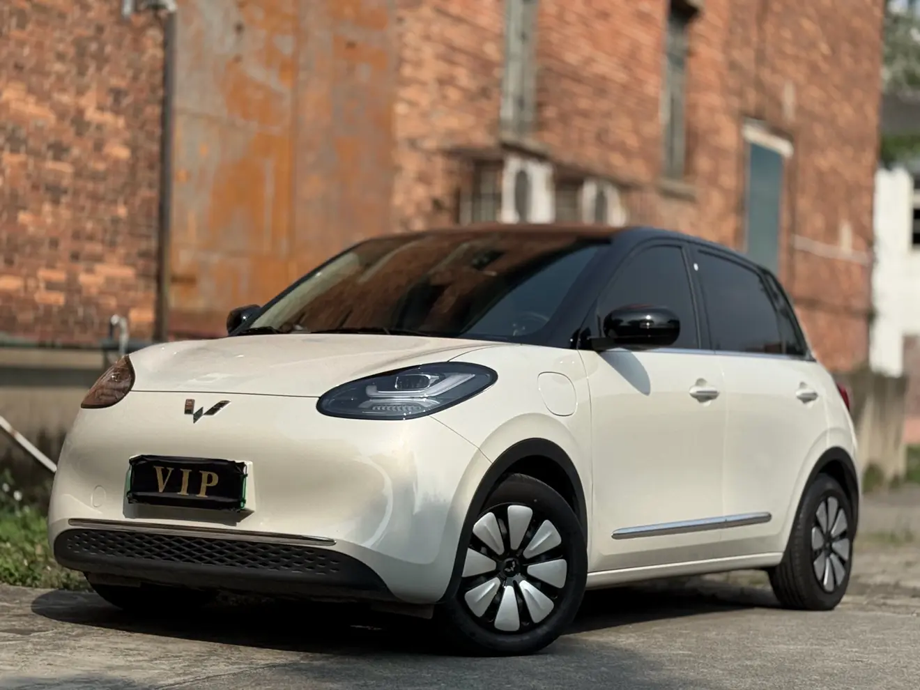 Wuling Bingo