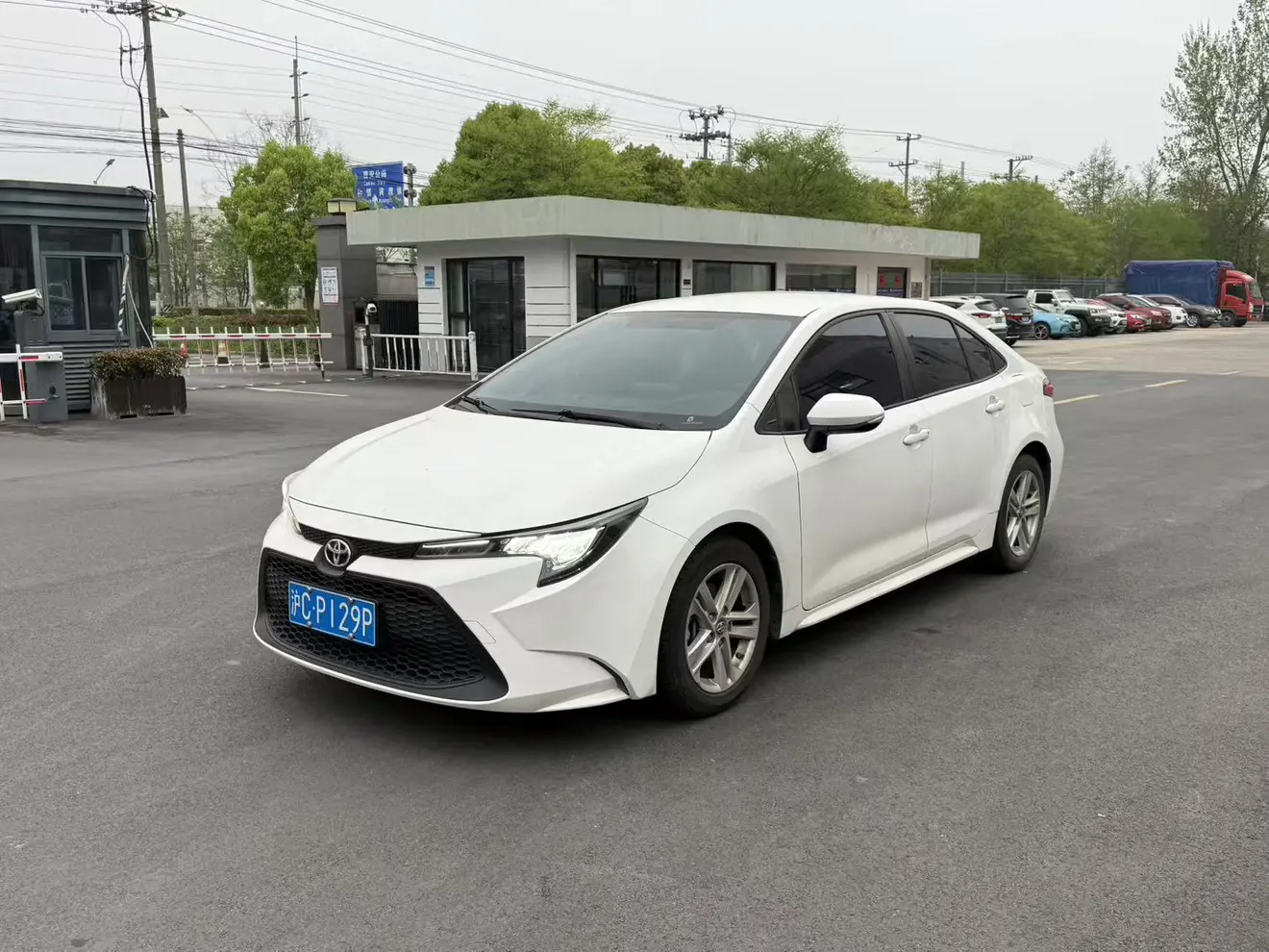 Toyota Levin