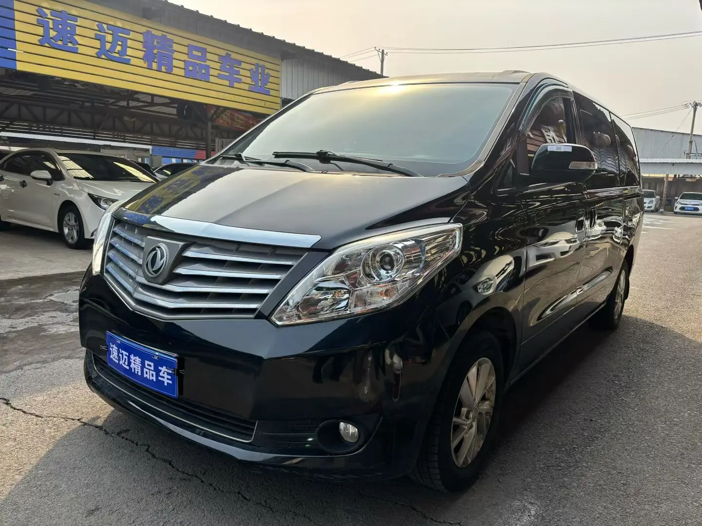 Forthing Lingzhi PLUS
