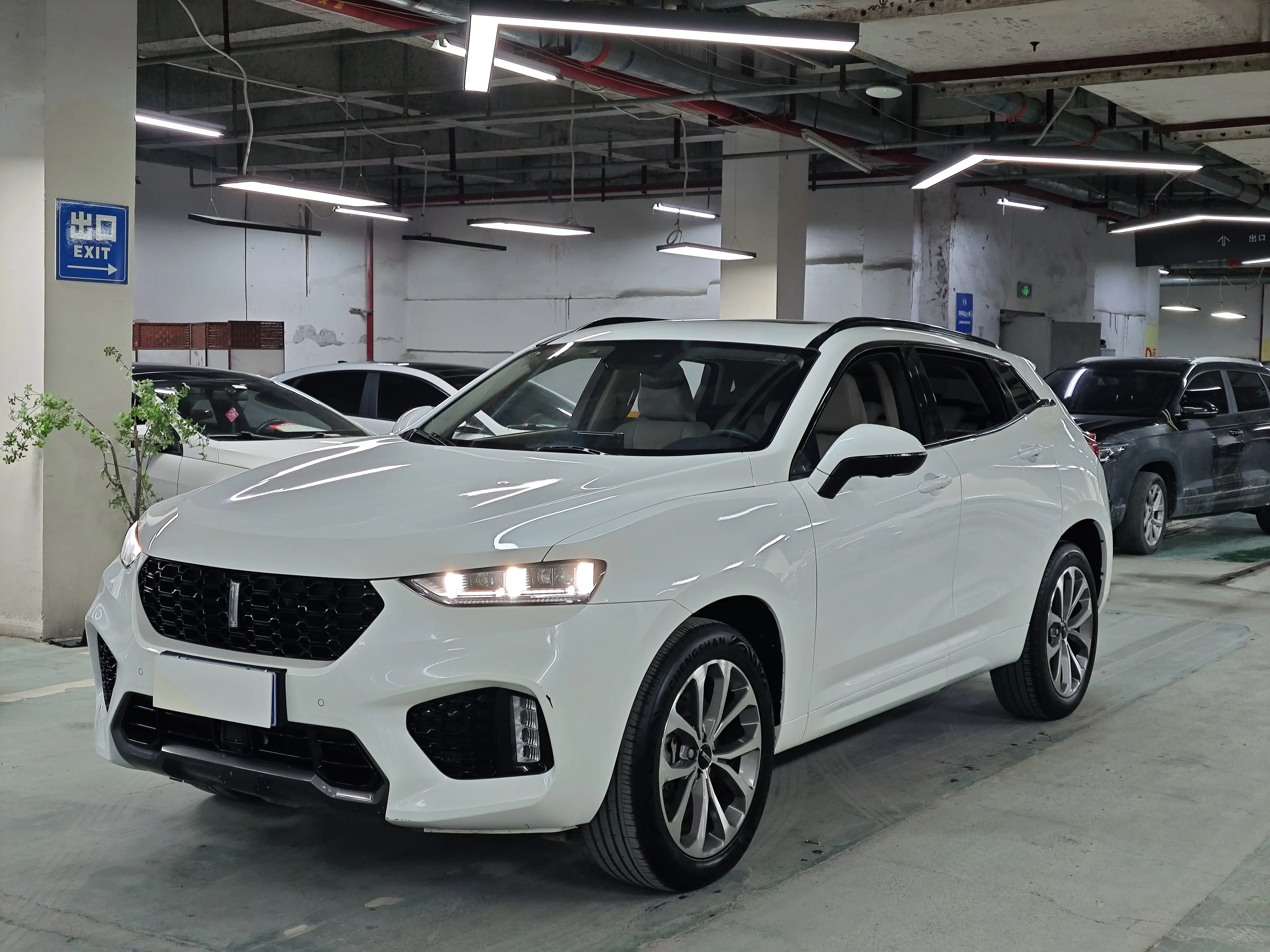 Wey Wei brand VV7