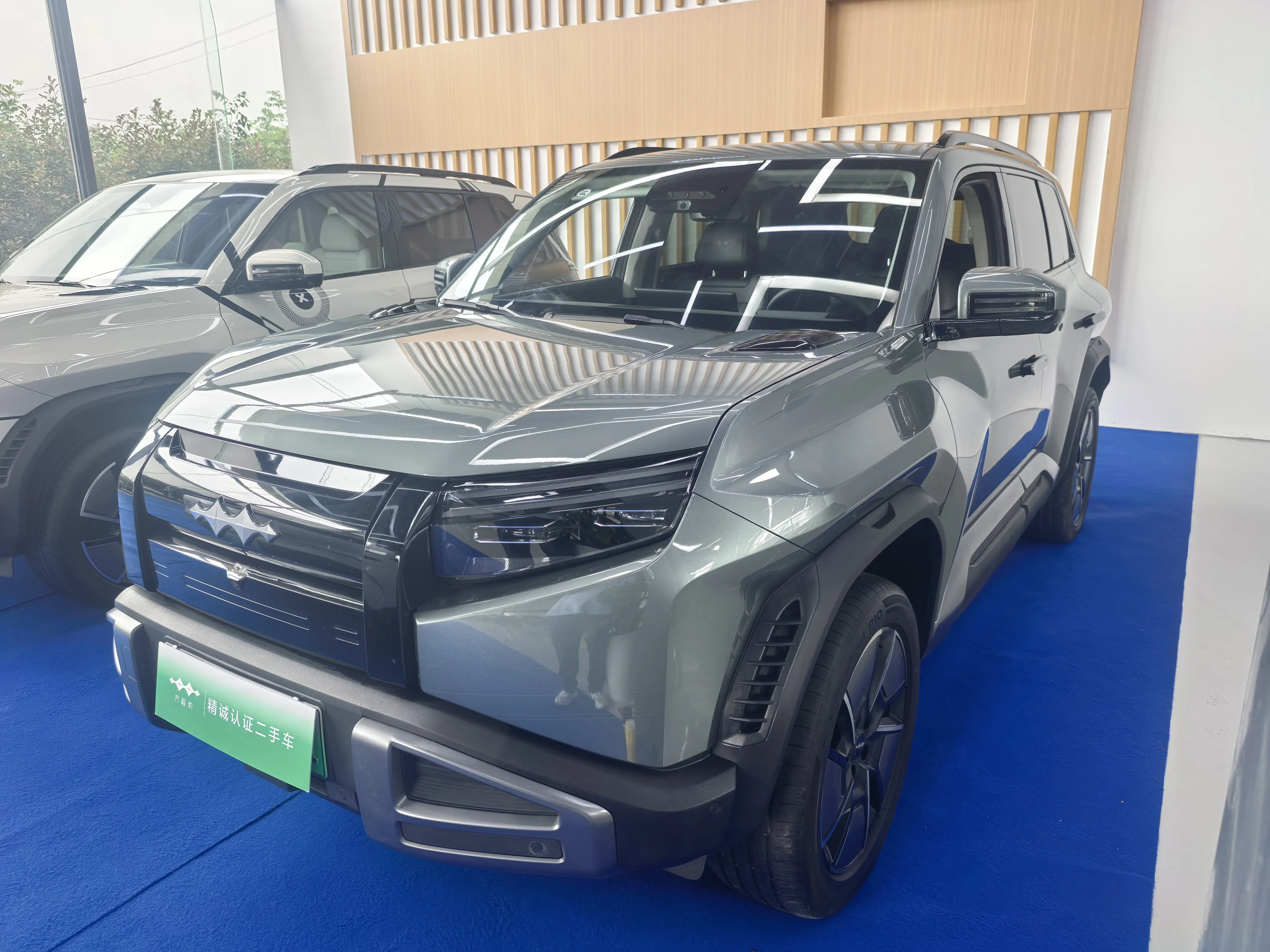 BYD Leopard Titanium 3