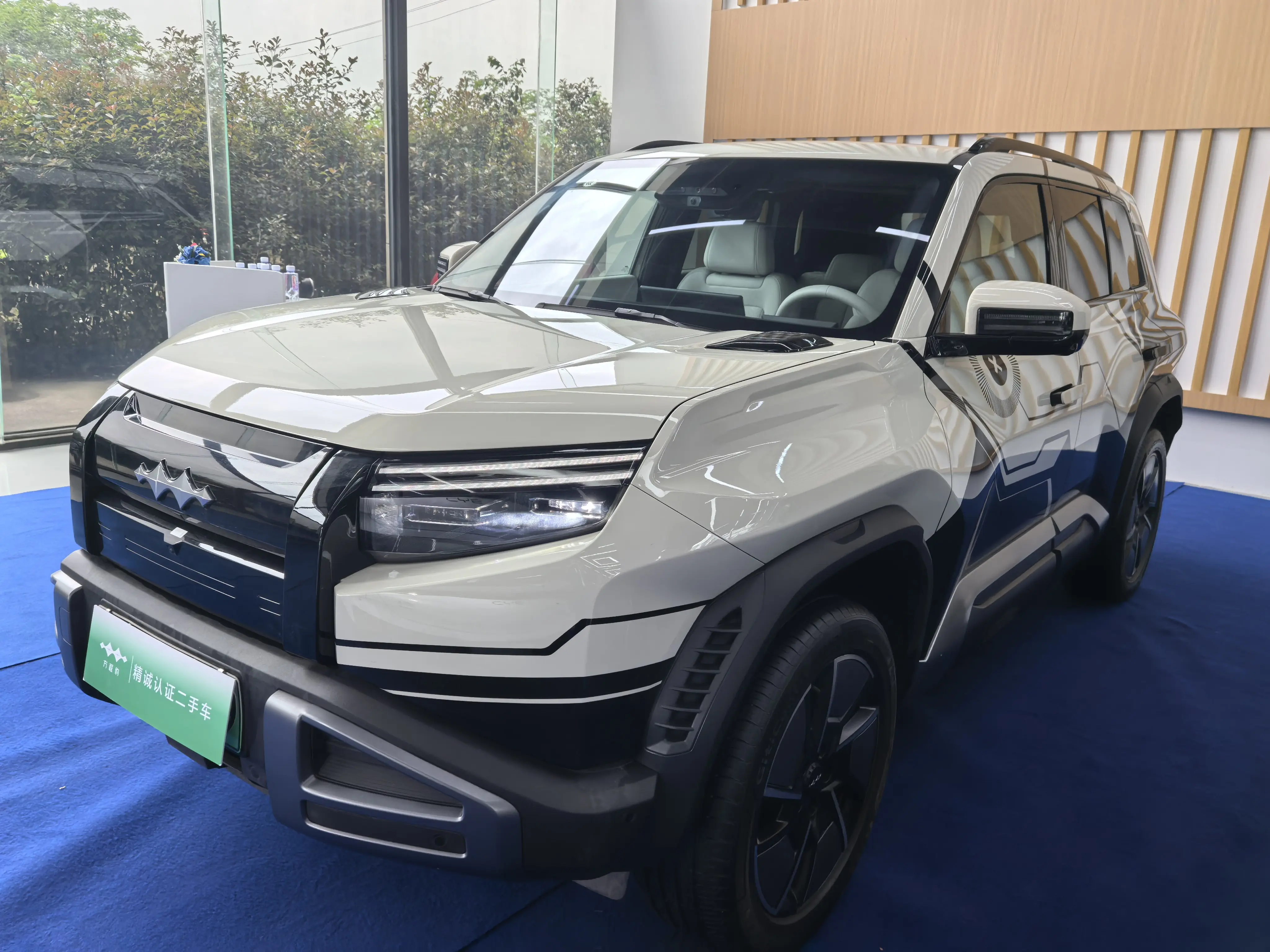 BYD Leopard Titanium 3