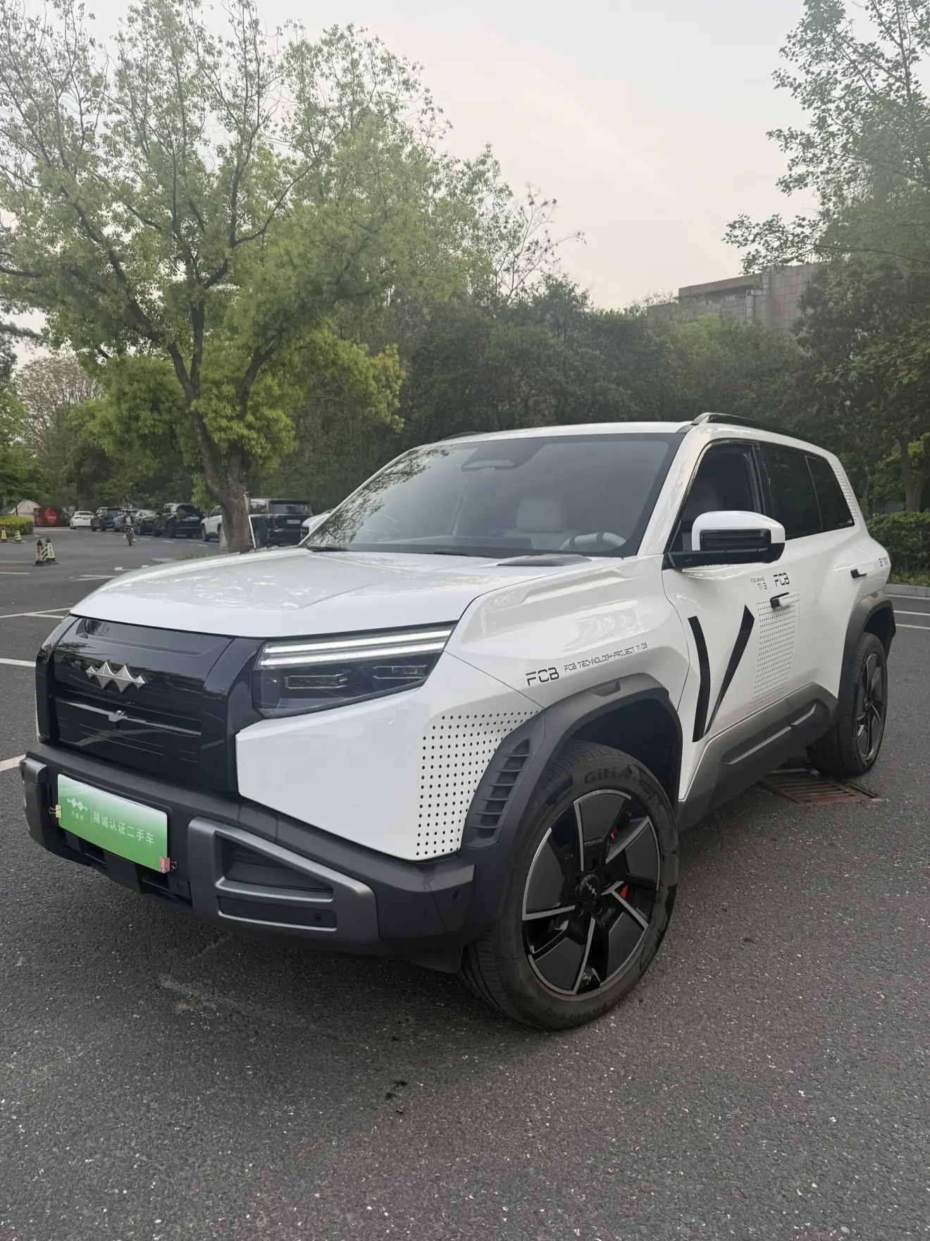 BYD Leopard Titanium 3