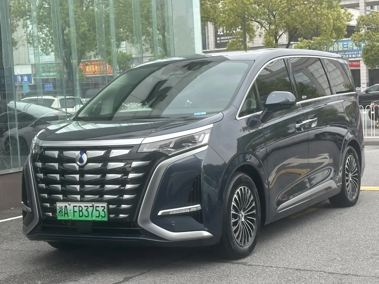 Denza D9 DM