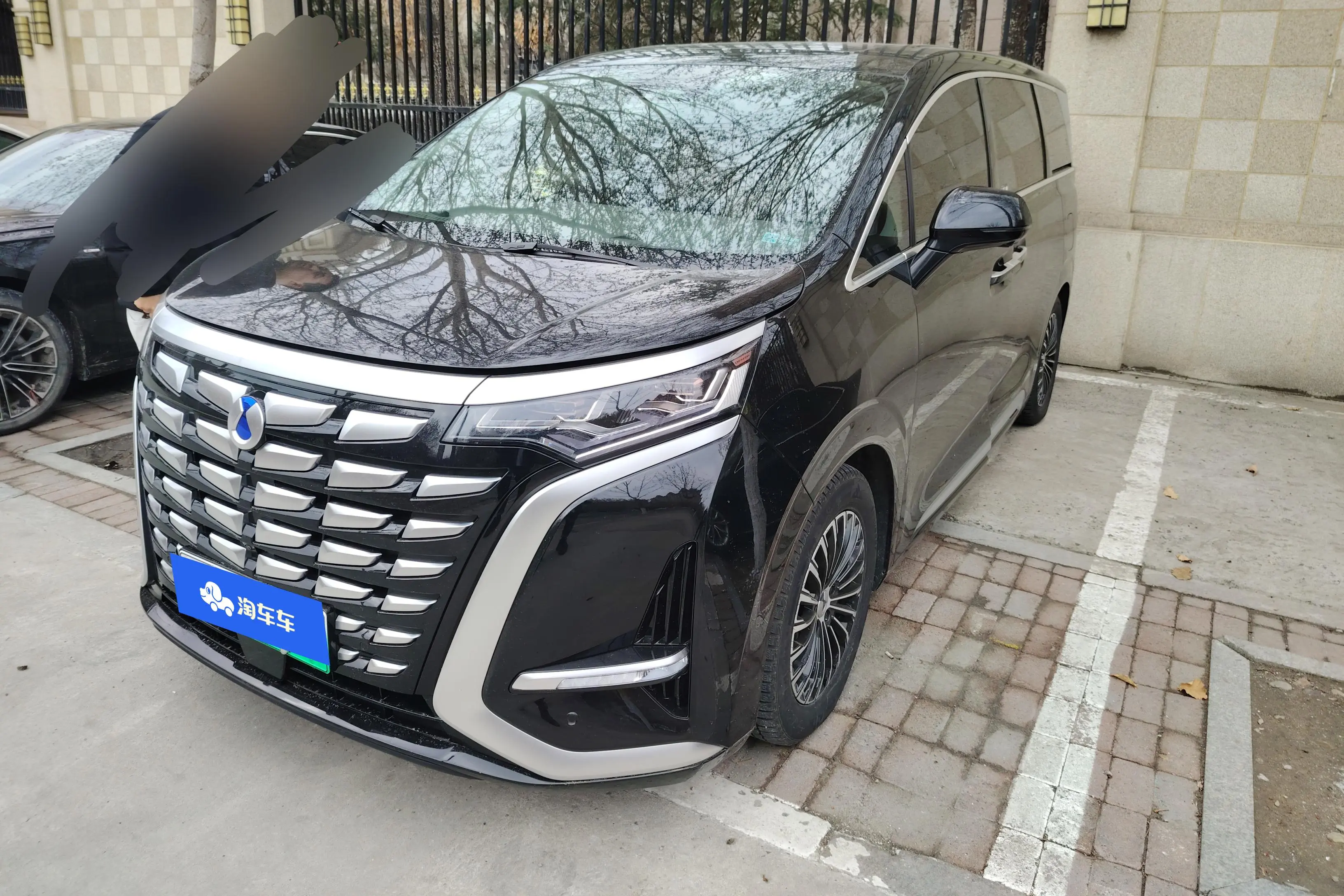 Denza D9 DM