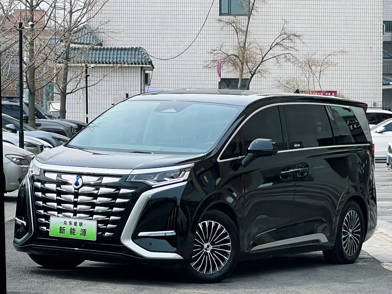 Denza D9 DM