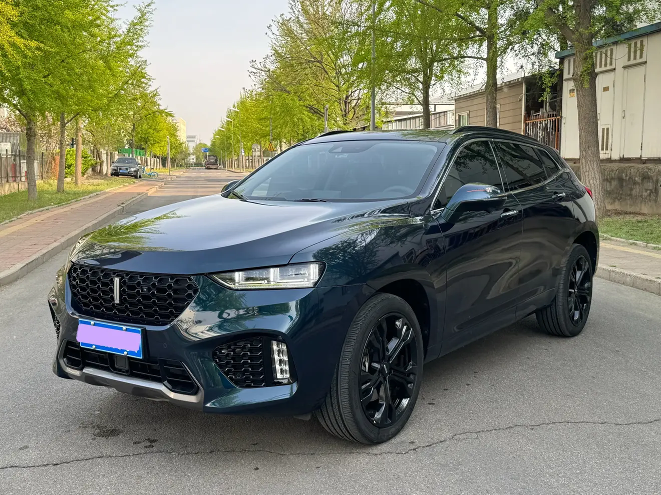 Wey Wei brand VV7