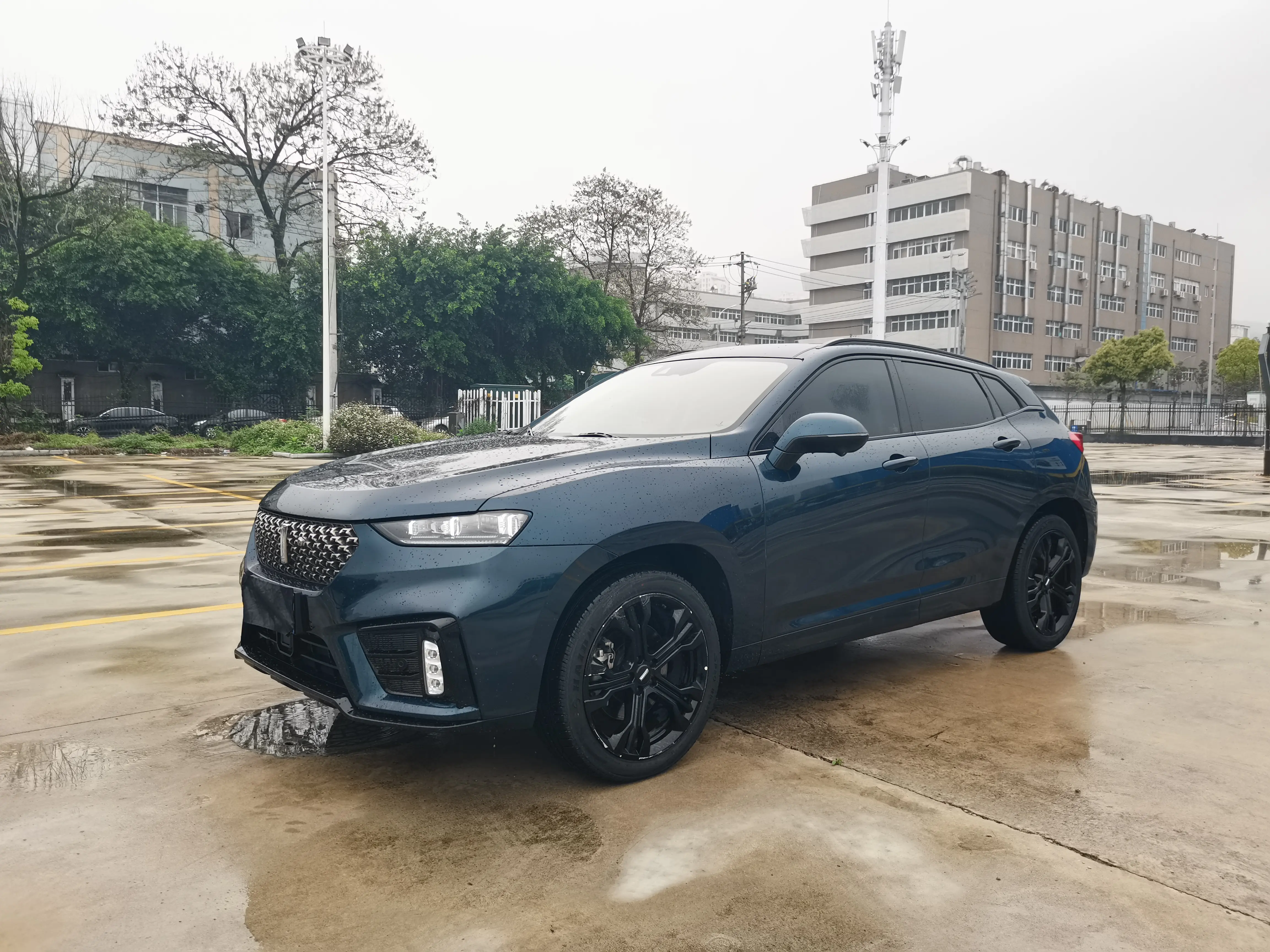Wey Wei brand VV7