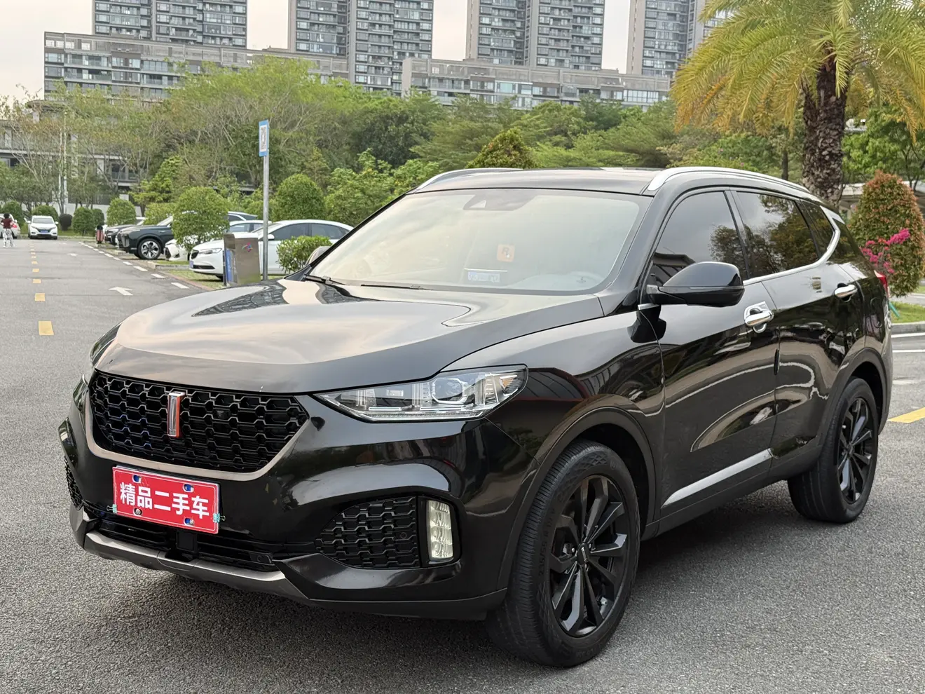 Wey Wei brand VV6