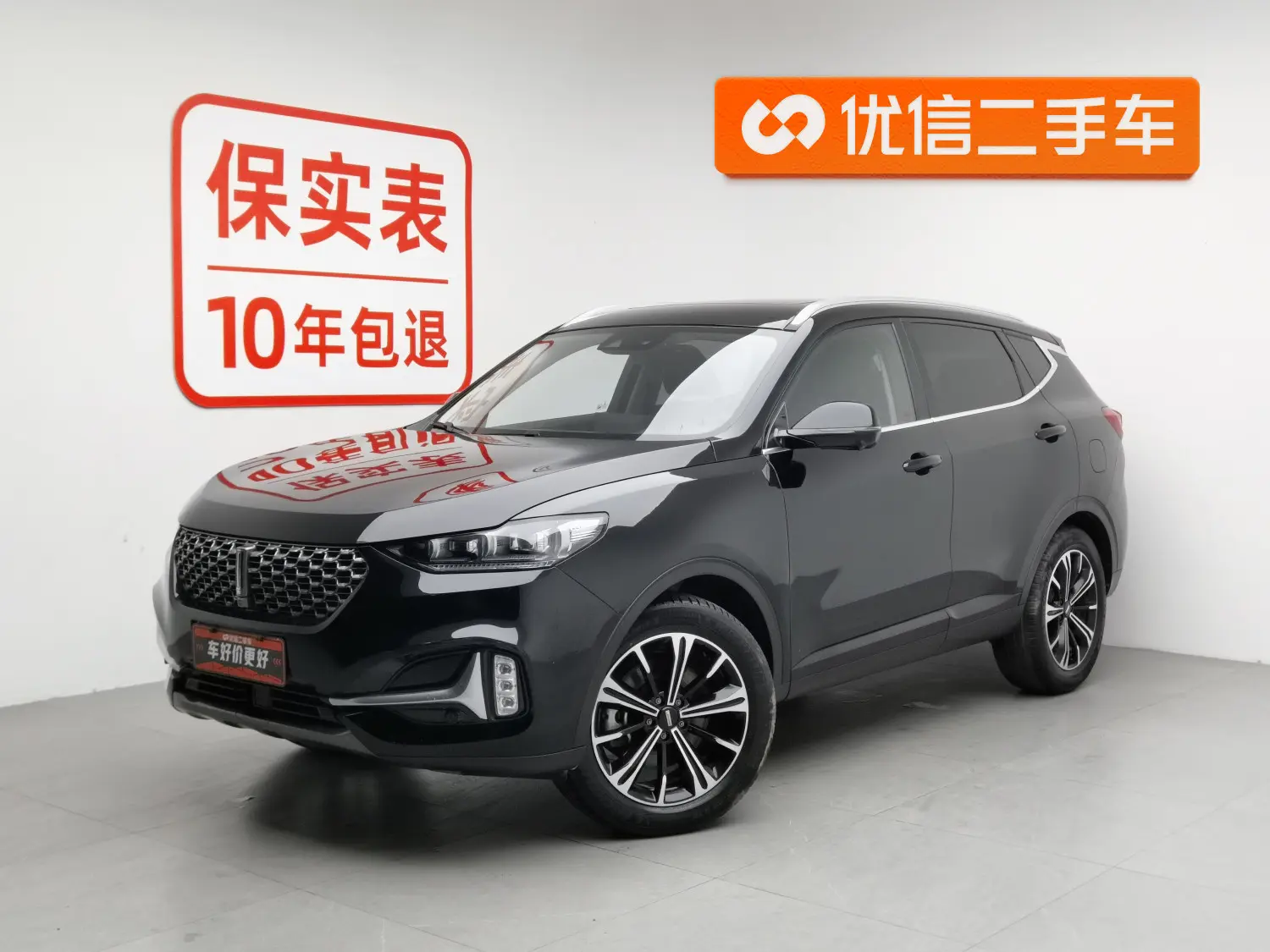 Wey Wei brand VV6