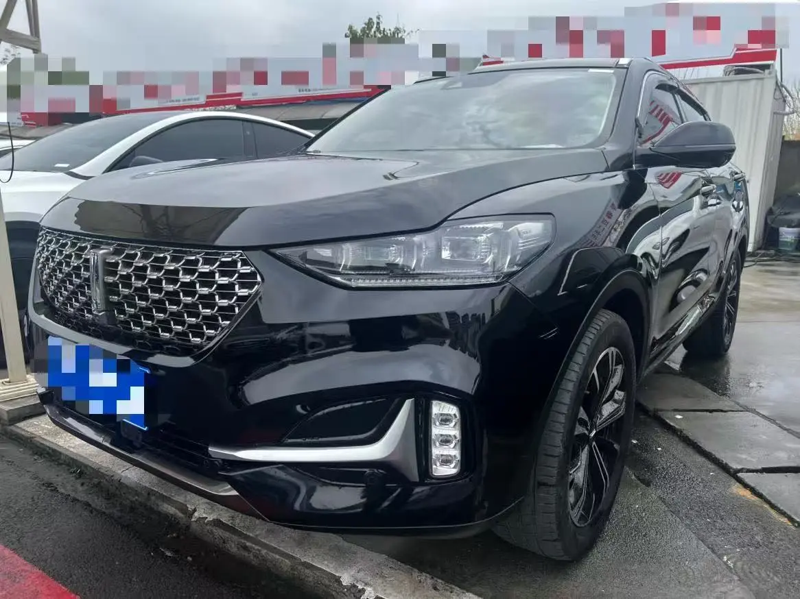 Wey Wei brand VV6