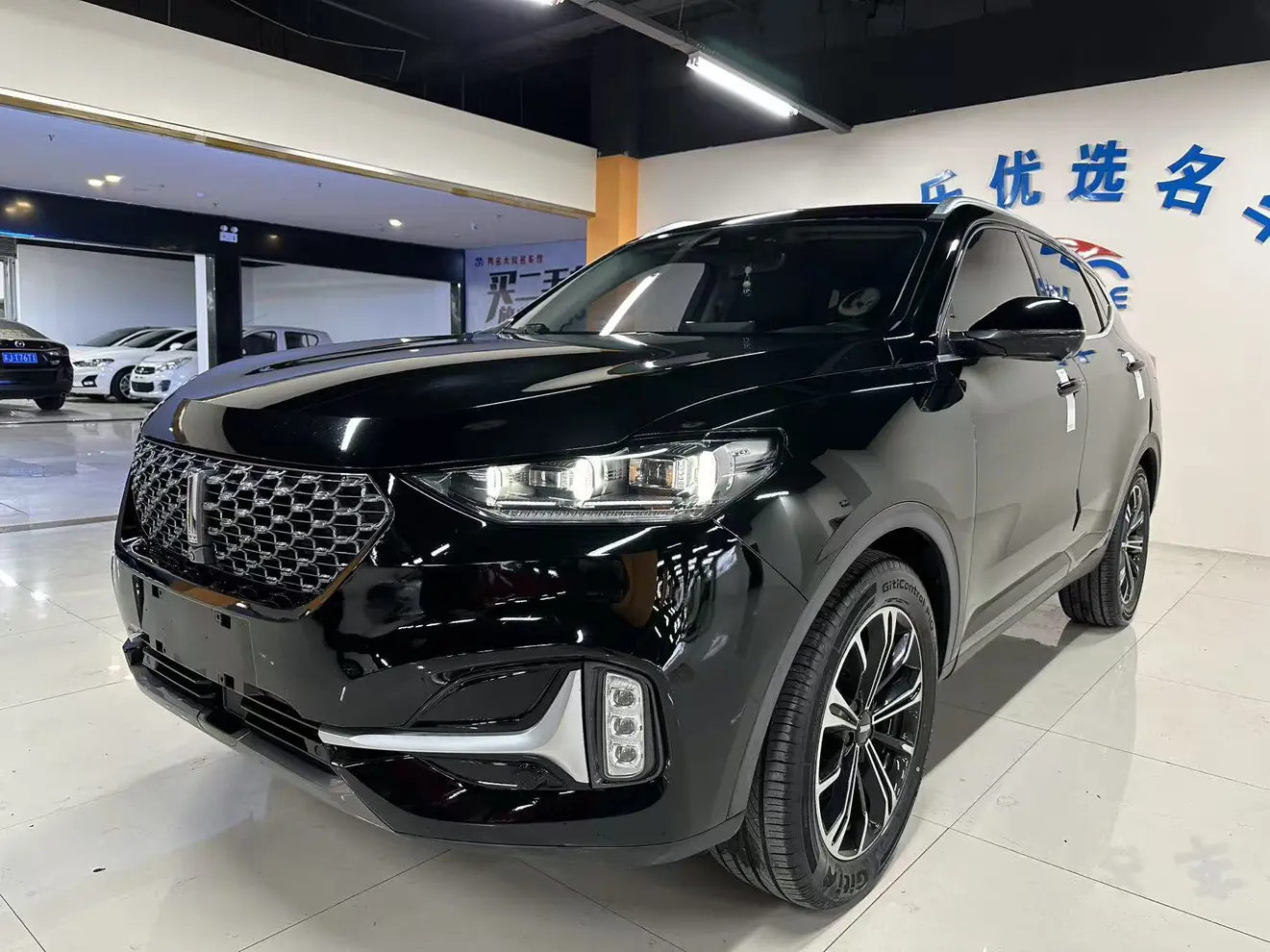 Wey Wei brand VV6