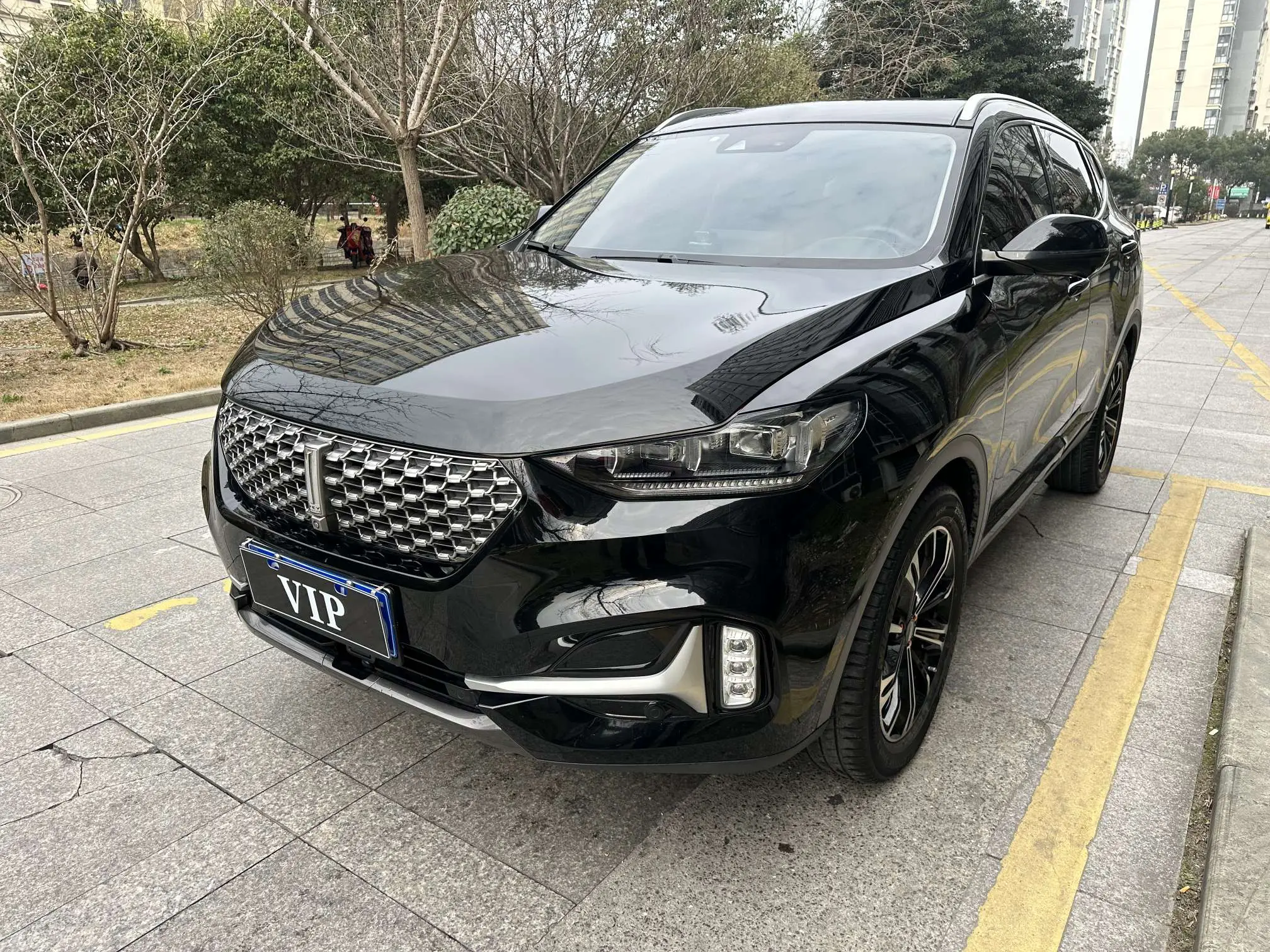 Wey Wei brand VV6