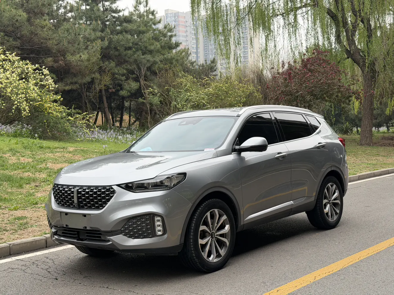 Wey Wei brand VV6