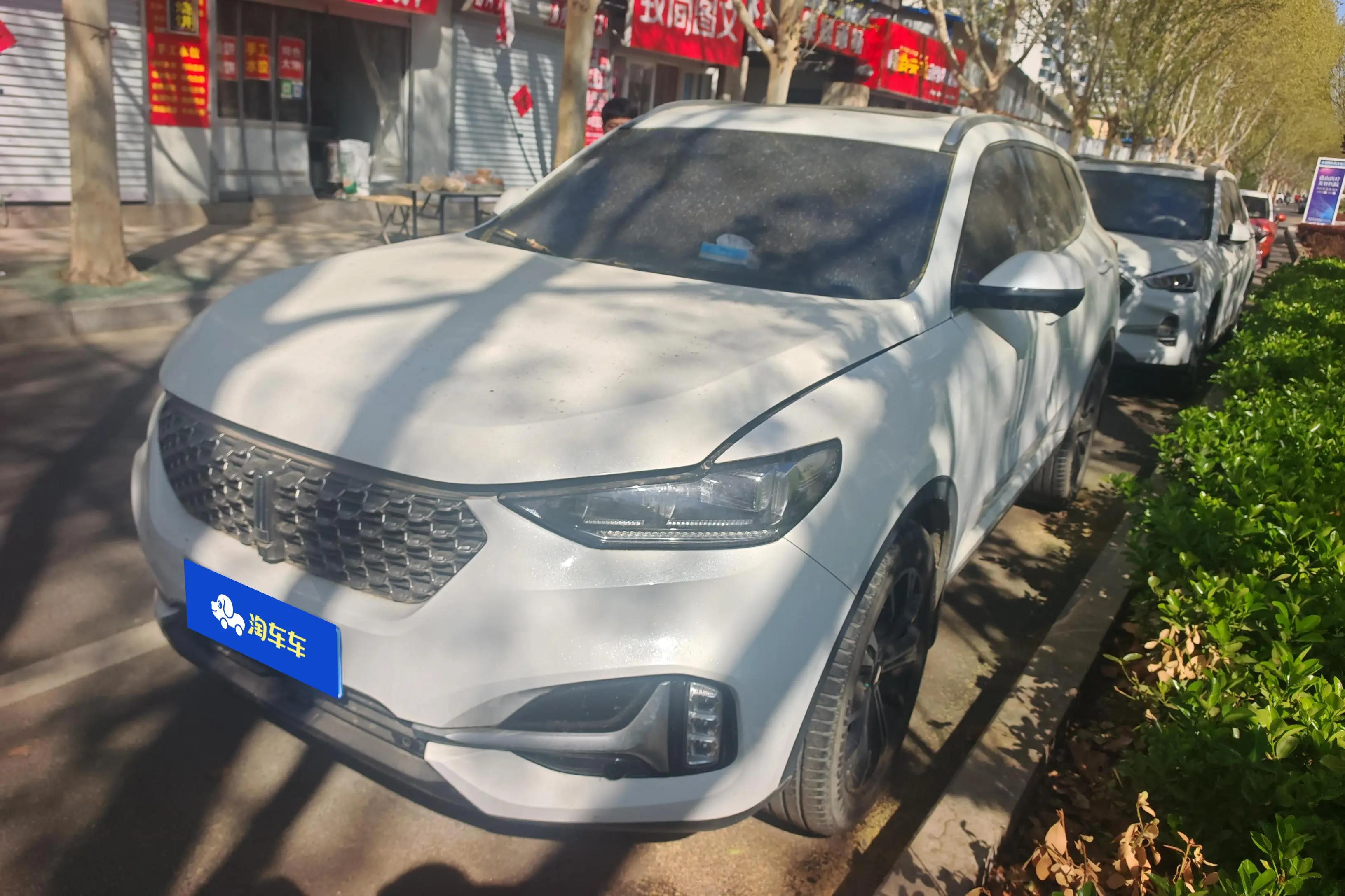 Wey Wei brand VV6