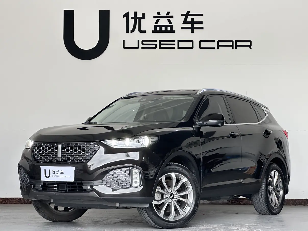 Wey Wei brand VV6