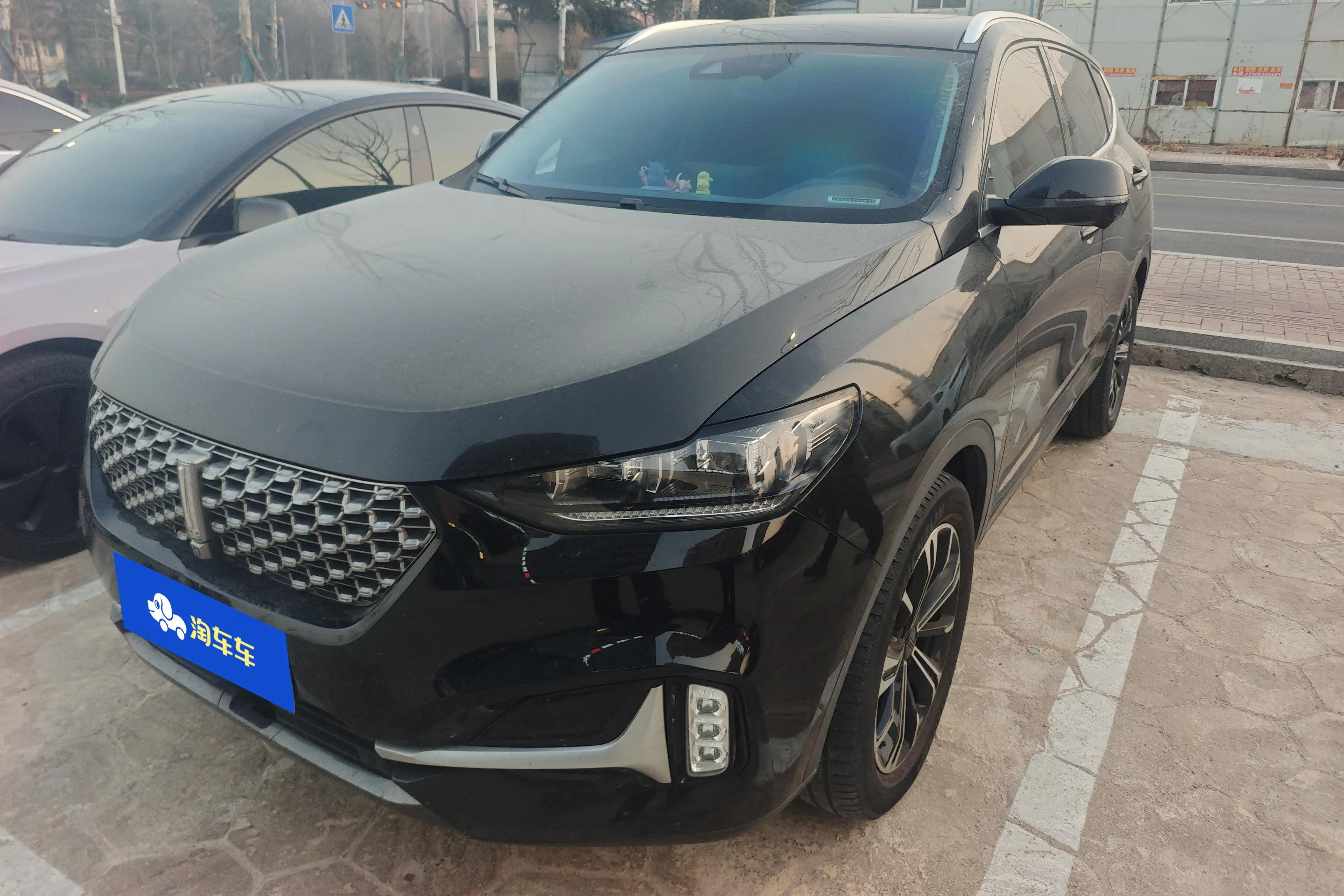 Wey Wei brand VV6