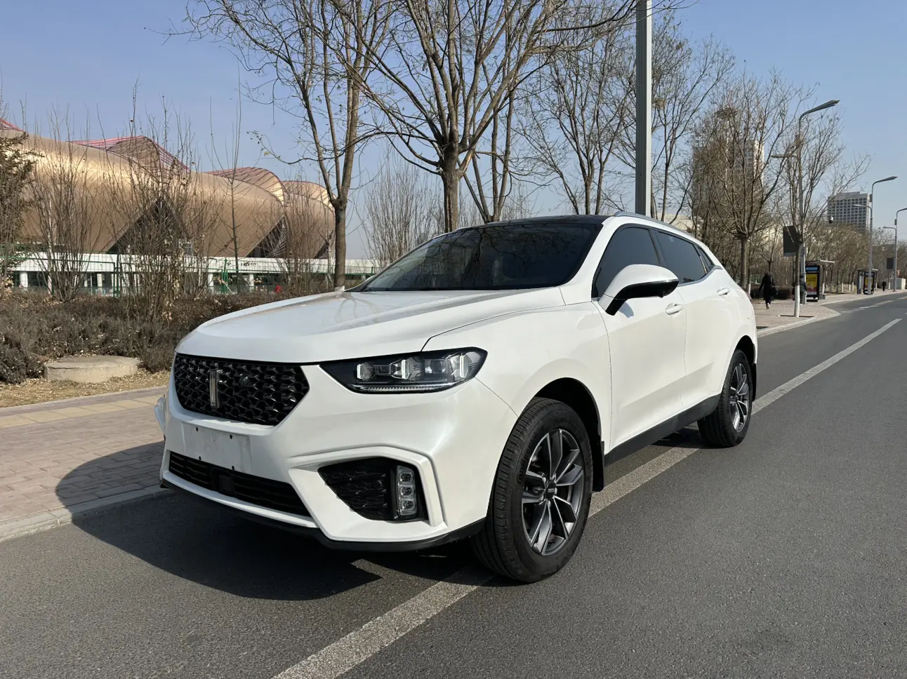 Wey Wei brand VV5