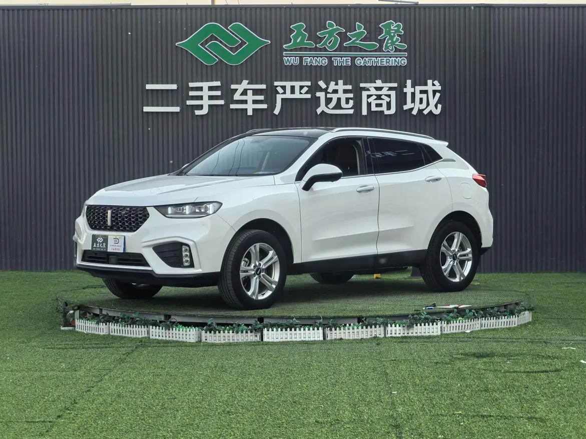 Wey Wei brand VV5