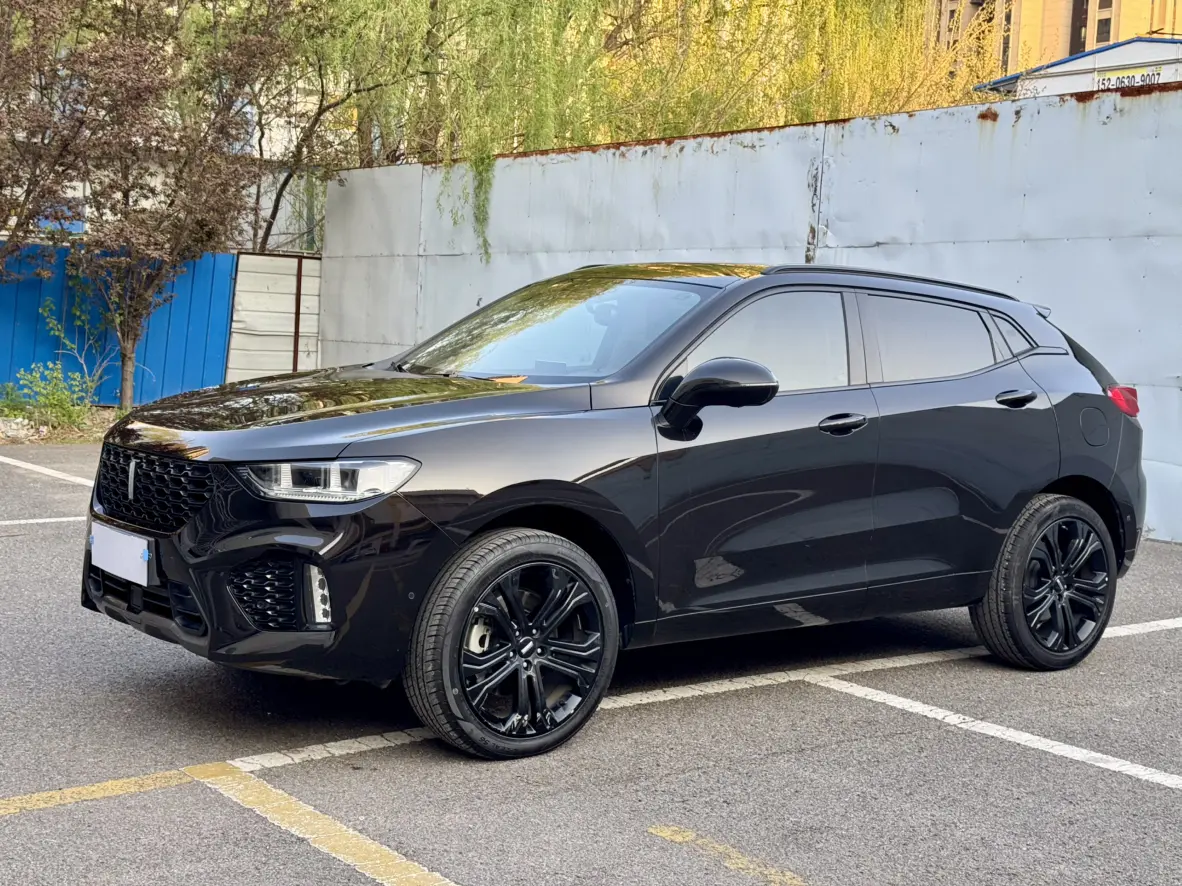 Wey Wei brand VV5