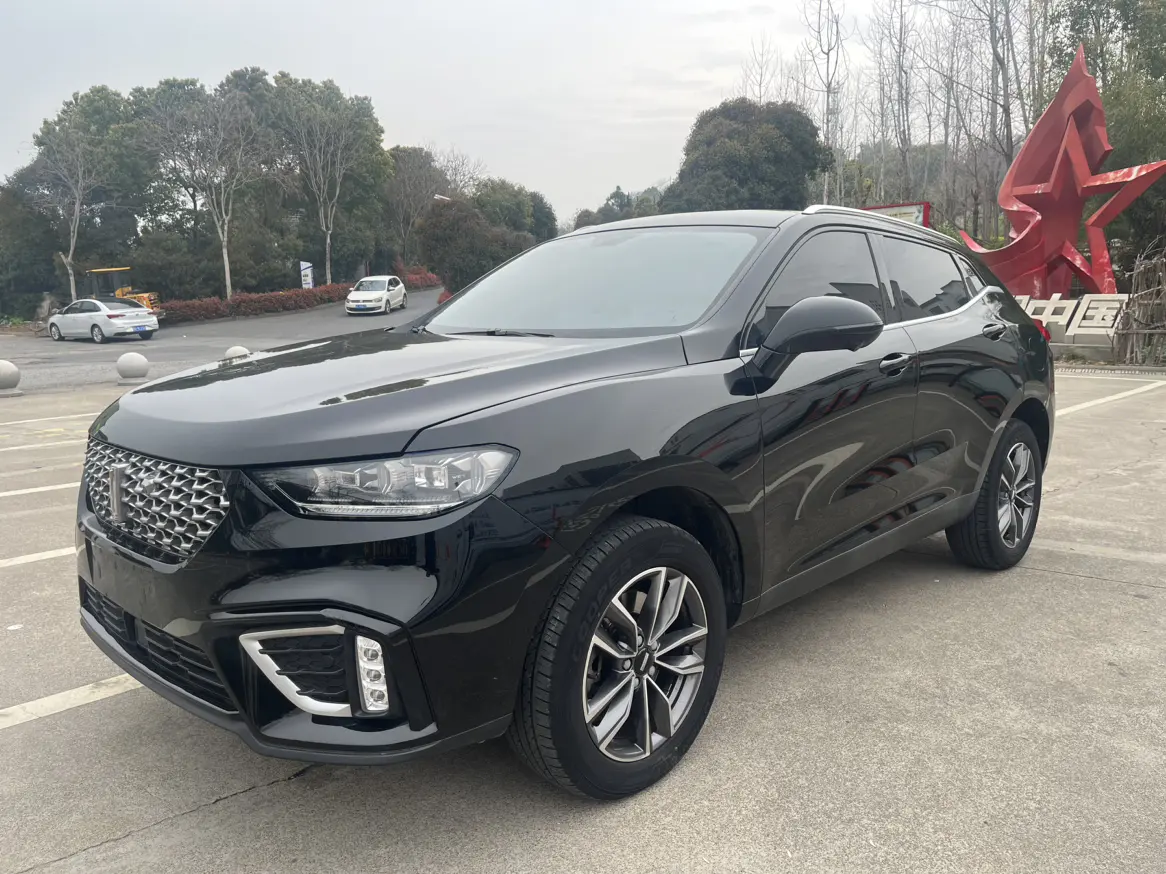 Wey Wei brand VV5
