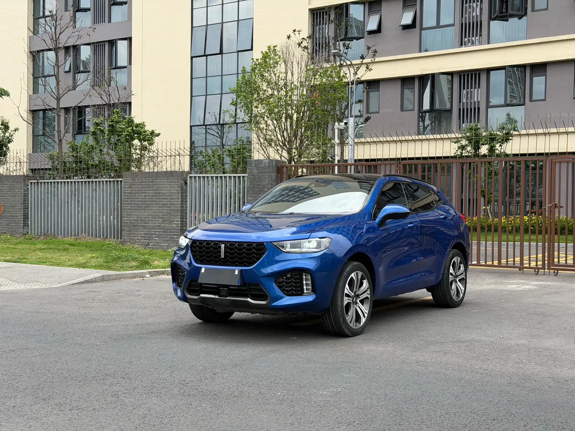 Wey Wei brand VV5