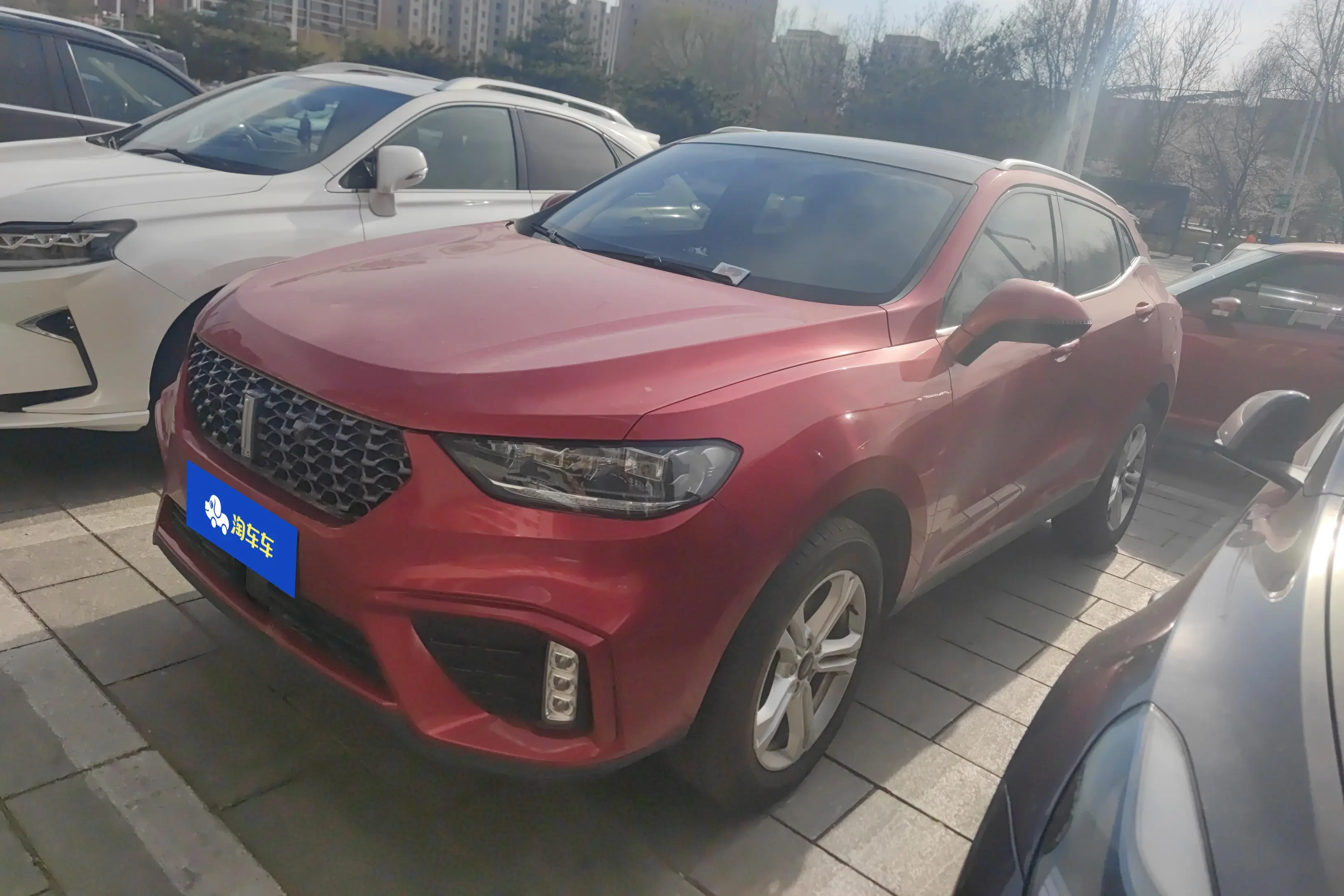 Wey Wei brand VV5