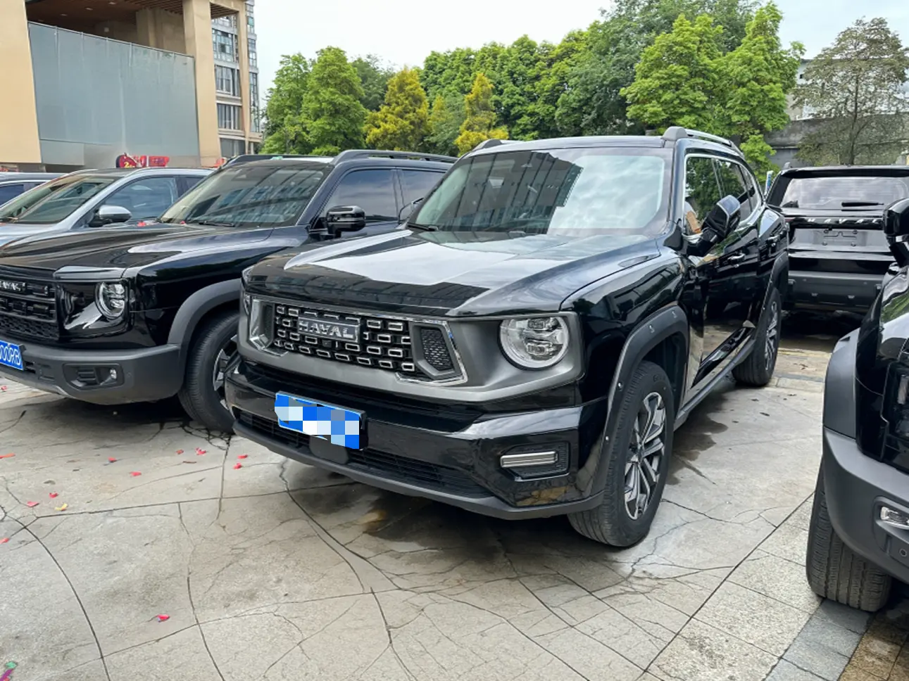 Haval Big Dog PLUS