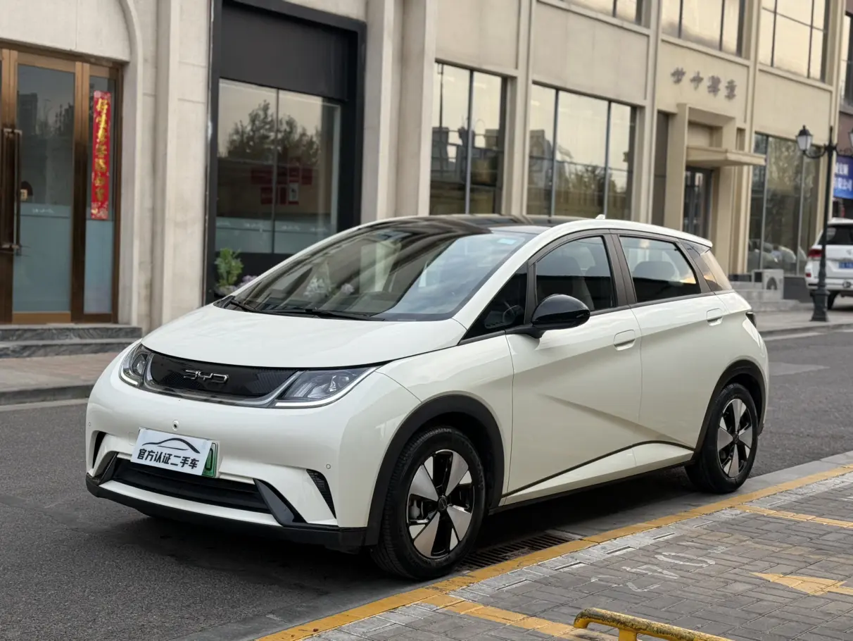 BYD Dolphin