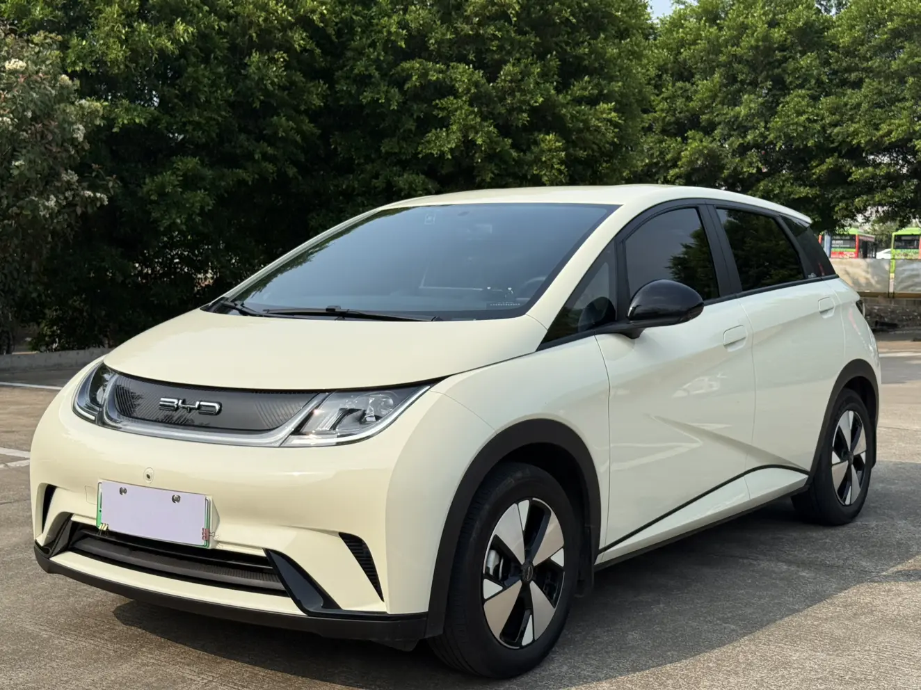 BYD Dolphin