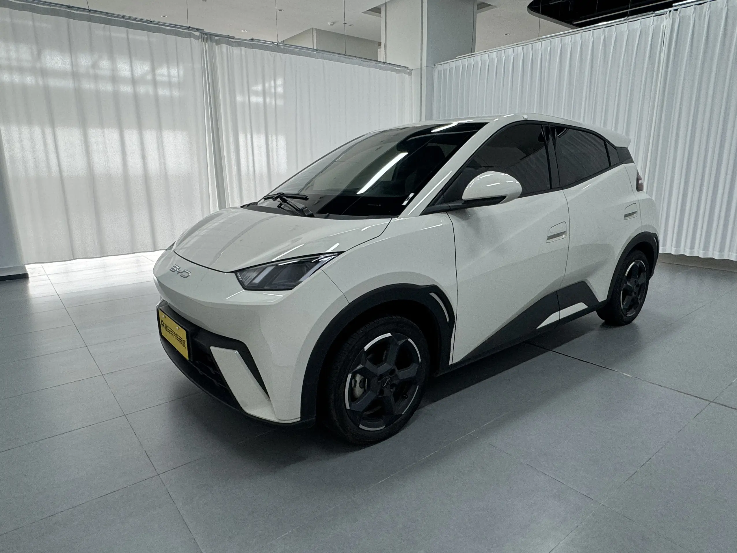 BYD Seagull