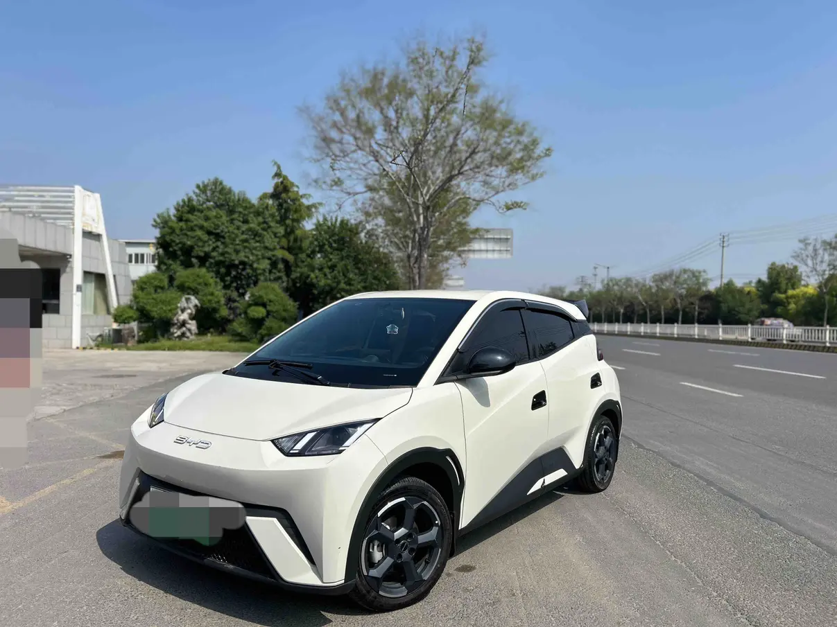 BYD Seagull