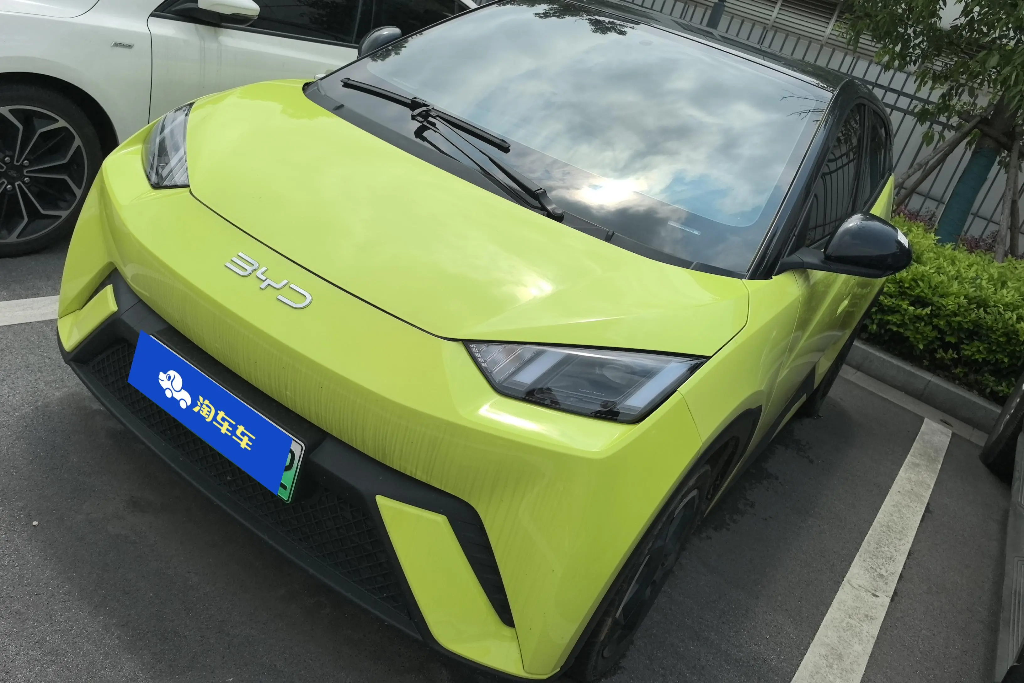 BYD Seagull
